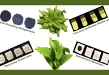 Research: Everyday enzymes, now grown in plants —