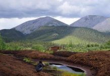 Research: Yukon warmest it has been in 13,600 years —