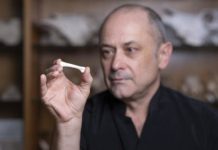 Research: New species of early human found in the Philippines —