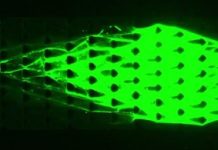 Research: Engineers tap DNA to create ‘lifelike’ machines —