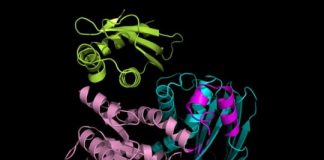 Study: The stress-response master regulator is important for antibiotic resistance, ability for bacteria to cause disease — (Details)