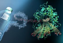 Research: Enzyme MHETase decoded —