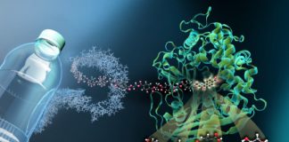 Research: Enzyme MHETase decoded —
