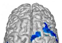 Offbeat: NIH study suggests our brains may use short rest periods to strengthen memories —