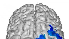 Offbeat: NIH study suggests our brains may use short rest periods to strengthen memories —