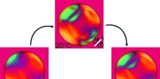 Tech: New method inverts the self-assembly of liquid crystals — (Report)