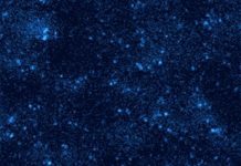 Tech: Tags made of flashing DNA let researchers tease apart dozens of molecules at once — (Report)