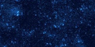 Tech: Tags made of flashing DNA let researchers tease apart dozens of molecules at once — (Report)