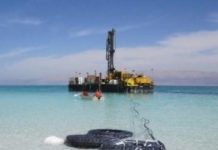 Research: A means of survival in the Dead Sea —