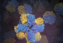 Tech: Scientists lead the way to produce tools for engineering biomolecules — (Report)