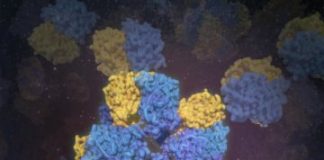 Tech: Scientists lead the way to produce tools for engineering biomolecules — (Report)