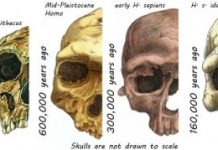 Research: The history of humanity in your face —