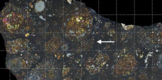 Research: Tiny fragment of a comet found inside a meteorite —