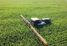 Research: Solving the mystery of fertilizer loss from Midwest cropland —