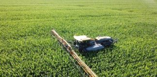 Research: Solving the mystery of fertilizer loss from Midwest cropland —