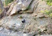 Research: Historic logging site shows first human-caused bedrock erosion along an entire river —