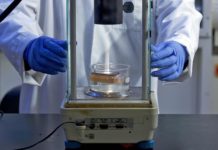 Research: A self-cleaning device made of wood aims to make small-scale desalination more practical —