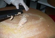 Research: Certain microbes may reduce allergy-like reactions in many people —