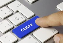 Research: A biosynthetic dual-core cell computer —