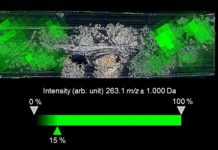 Research: New study shows people used natural dyes to color their clothing thousands of years ago —