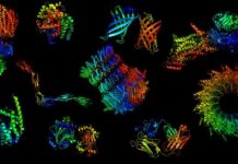 Tech: New deep-learning approach predicts protein structure from amino acid sequence — (Report)
