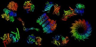 Tech: New deep-learning approach predicts protein structure from amino acid sequence — (Report)