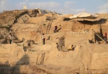 Research: Urine salts reveal timing and scale of Neolithic Revolution at Turkish site —