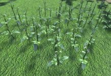 Research: Players explore and search for butterflies using knowledge gained through gameplay —