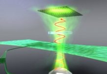 Tech: Cellulose gets a chance to shine — (Report)