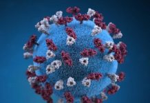 Research: Decline in measles vaccination is causing a preventable global resurgence of the disease —