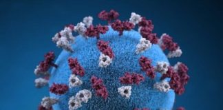 Research: Decline in measles vaccination is causing a preventable global resurgence of the disease —