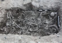 Research: A history of the Crusades, as told by crusaders’ DNA —