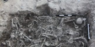 Research: A history of the Crusades, as told by crusaders’ DNA —