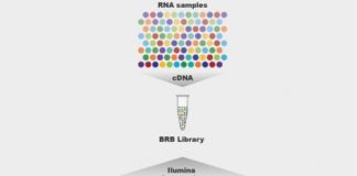 Study: The quick and cheaper future of RNA sequencing — (Details)