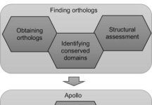 Research: New workflow for annotating genomes will help both researchers and undergraduate students —