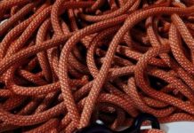 Research: DNA is managed like climbers’ rope to help keep tangles at bay —