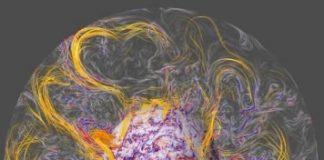 Tech: Geomagnetic jerks finally reproduced and explained — (Report)