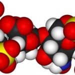 Study: Research gives clear target for drug development and further study into memory loss — (Details)