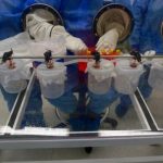 Study: Dengue mosquito is Queensland’s biggest threat for spreading Zika virus — (Details)