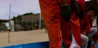 Research: Discovery is good news for conservation, but action is needed to limit fishing during birthing months —