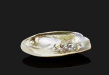 Research: Artificial mother-of-pearl created using bacteria —