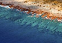 Tech: New global atlas offers new way to map coral reefs from space — (Report)