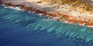 Tech: New global atlas offers new way to map coral reefs from space — (Report)