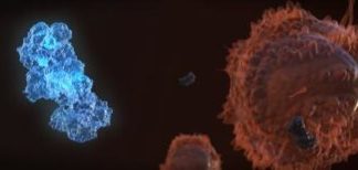 Tech: Gene editing made safer — (Report)