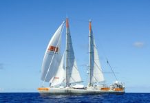 Research: Vast diversity of ocean microbes revealed —