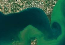 Research: Climate key factor in how much nitrogen ended up in the water system —