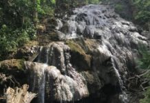 Research: Scientists show how microbes help store millions of tons of carbon dioxide —