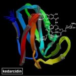 Study: Breakthrough reveals new ways to combat drug-resistant bacteria and fight cancer — (Details)