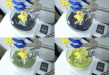 Research: Researchers dramatically clean up ammonia production and cut costs —