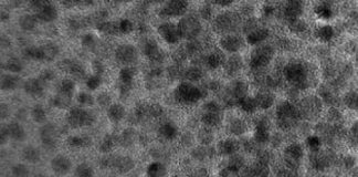 Study: Scientists discover coal-derived ‘dots’ are effective antioxidant — (Details)